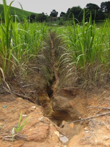 Erosão do solo pelas águas em plantio de cana-de-açúcar